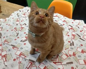 ありあまる地域共通クーポン券