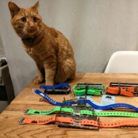 Ski Crampons (SKEATS Skin Cleats)